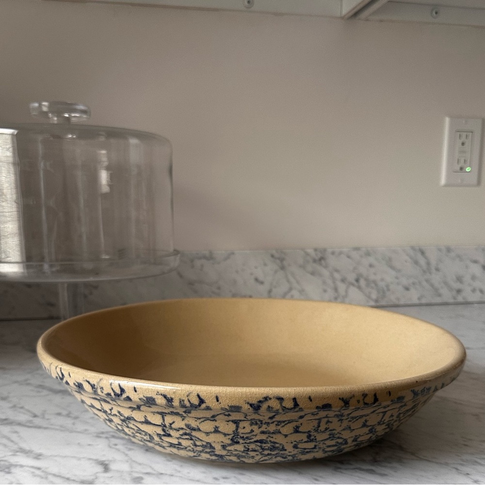 Robinson Ransbottom Sponge Ware 13” Pasta Bowl
